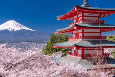 Z Tokia: Fudži a Hakone Soukromá prohlídka na míru
