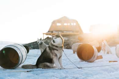 Norwegen: Übernachtung auf dem Gletscher-Campingplatz
