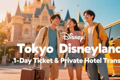 Tokyo Disneyland: 1-Day Ticket & Private Hotel Transfer