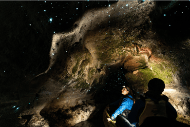Rotorua: Glow Worm Kayak Tour