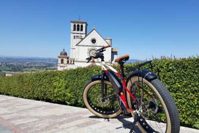 E-bike Citybike Rental - full day