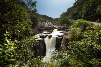 5 Tage wilde Flucht: Ranomafana Abenteuer von Antananarivo aus
