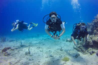 Punta Cana: Scuba Diving Adventure to Catalina Island