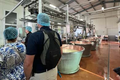 Bologna: Super Cars, Parmesan och Balsamico-tur med lunch