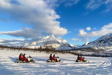 Från Tromsö: Snöskotersafari i Lyngenalperna