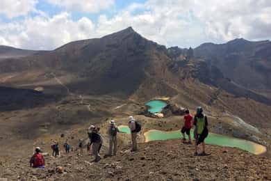 Tongariro Alpine Crossing: Round-Trip Shuttle Service