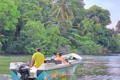 14 jours de voyage au Sri Lanka