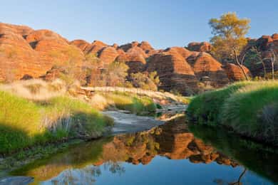 Von Broome aus: Bungle Bungle Explorer-Rundflug