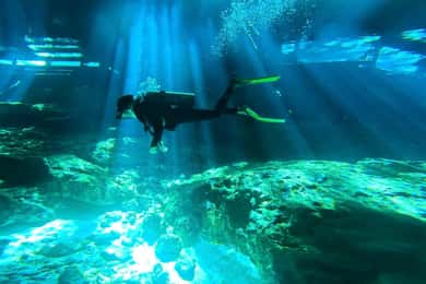 Tulum: Dos Ojos Cenote 2 Scuba Dives with Transfer Option