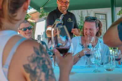 Oporto: tour privado por el valle del Duero, catas, crucero y almuerzo