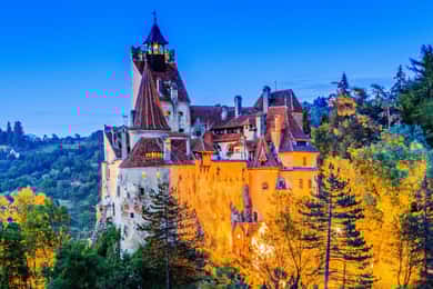 Minivan 8: Peles & Dracula's Castle and Brasov Full-Day Trip