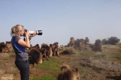 3 Days Trekking & Wildlife Spotting in the Simien Mountains