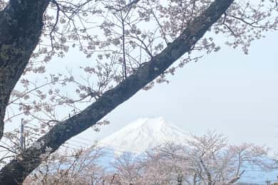 Jednodenní výlet na horu Fuji a do Hakone s anglicky mluvícím průvodcem