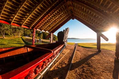 Waitangi Treaty Grounds: Passe de 2 dias