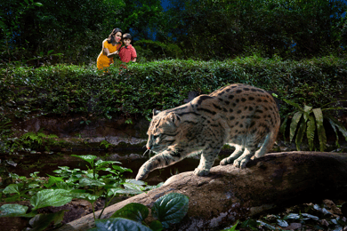 Singapore: Attractions Shared Transfers from Hotel