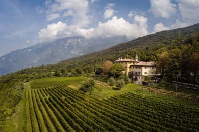 Wine tour at Borgo dei Posseri: wine, nature, and authenticity
