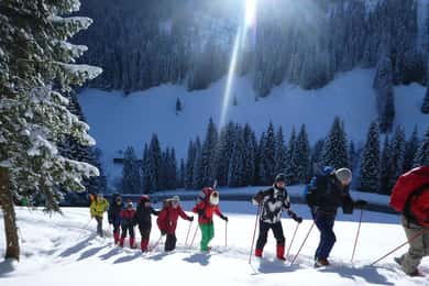 Snowshoe hike in the Allgäu