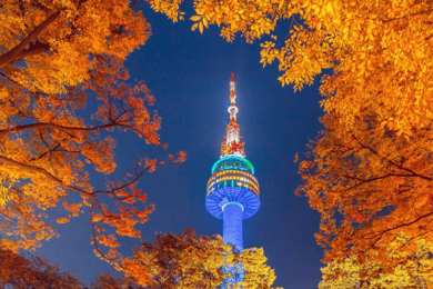 Seúl: N Seoul Tower Observatory Ticket de entrada