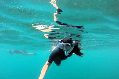 Guided snorkel in Cambrils with explanation of the marine environment.