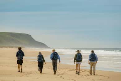 Adelaida: Tour a pie de 4 días Fleurieu Gourmet