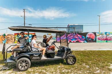 Wynwood Art District 1-Hour Street Art Tour by Golf Cart