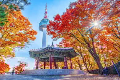 Seoul: N Seoul Tower Observatory & Cable Car Combo Ticket