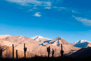 From Salta: Full-day excursions through Cachi and Humahuaca