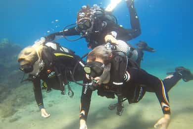Lanzarote: Battesimo subacqueo a Puerto de Carmen 2 immersioni