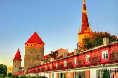 Tallinn : Capturez les endroits les plus photogéniques avec un habitant de la ville