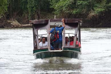 Palo Verde: Tempisque River Wildlife Safari with Lunch