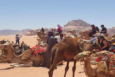 Från Amman/Airport: 3-nätters privat Jordanien Special Tour