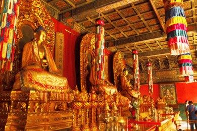 Beijing: Lama Temple (Yonghe Temple) Admission Ticket