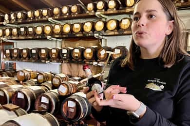 Taste of Modena: Parmigiano, Balsamic & Prosciutto + Lunch