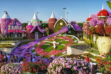 Özel Dubai Flora ve Fauna Gezisi