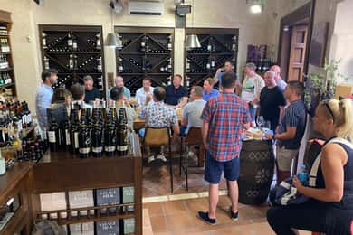 Marbella, Spanien: Rundtur i Gamla stan med Tapas & Vin