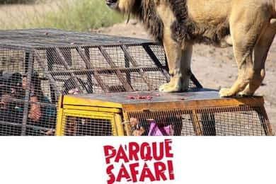 Santiago, Safari Park