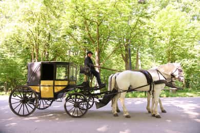 Vienna Porcelain Carriage - A discreet Prater carriage ride for adults