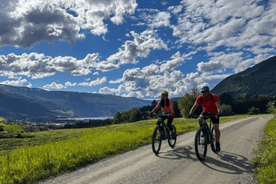 Noleggio | Mountain Bike - Sospensione completa
