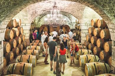 Bukarest: Tour The Wine Road, 2 Boutique-Weinkellereien an 1 Tag