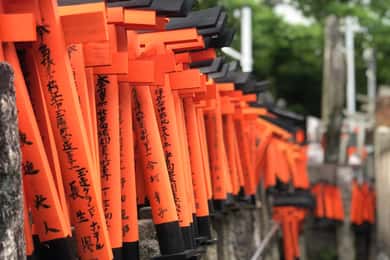 Kyoto: Tour a piedi personalizzati e privati (3h, 5h, 8h)