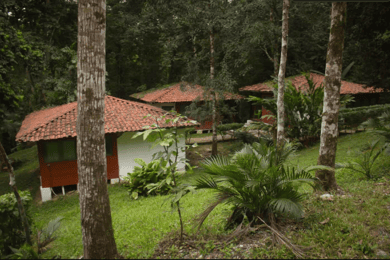 Chiapas : Palenque, Agua Azul et Misol-Ha