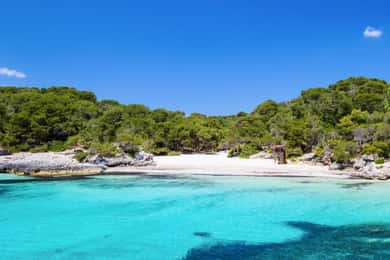 Shared boat excursion Half day