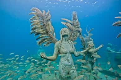 Sint Maarten: Underwater Sculpture Park Snorkel Adventure