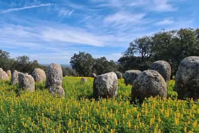 Montemor-o-Novo or Évora: One-Day Tour of Megaliths