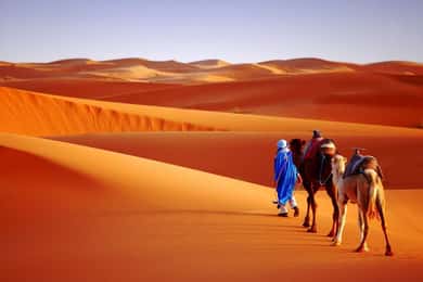 Marrakech Desert Tours 3 Days with Camel Trek and Camping