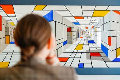 IAM Illusion Art Museum Toegangsbewijs