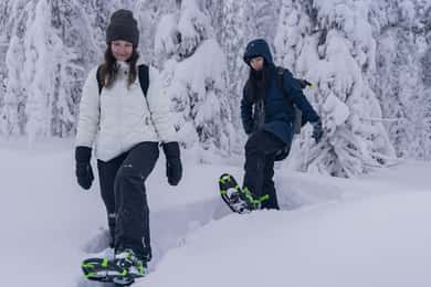 Rovaniemi: Snöskovandring, ren- och huskyslädestur på vintern
