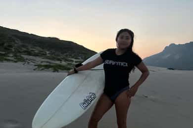 Surfboards for rent. All level skills equipment
