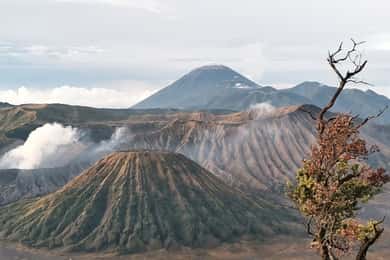 Mount Bromo zonsopgang 1 dag privétour vanuit Surabaya/Malang
