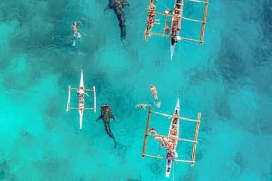 Cebu Adventure: Private Whaleshark + Kawasan Canyoneering